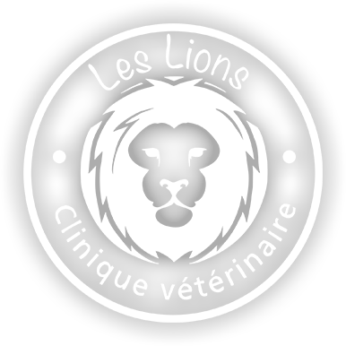 Clinique Vétérinaire Les Lions